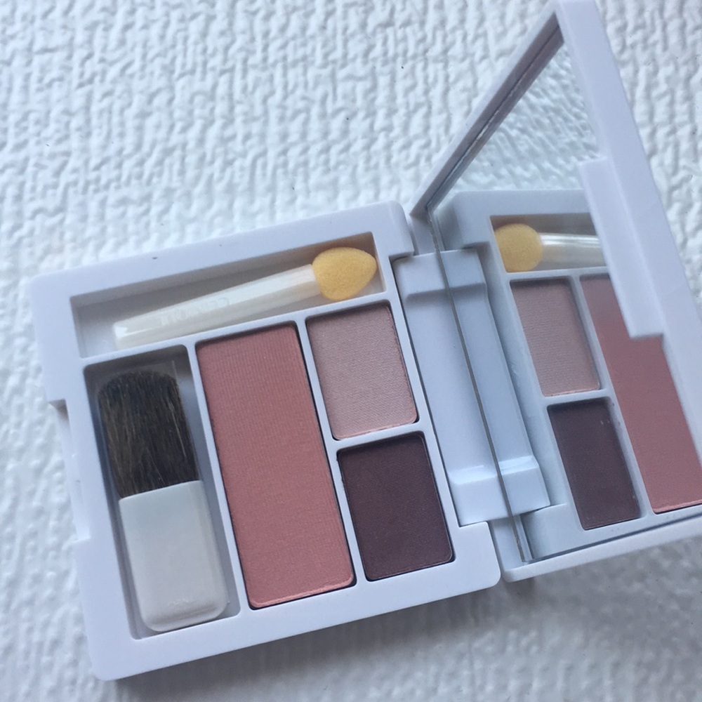 Clinique color surge face palette
